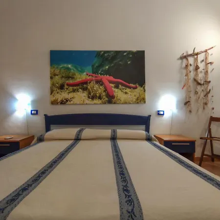 Domu Cannuja Apartment *
