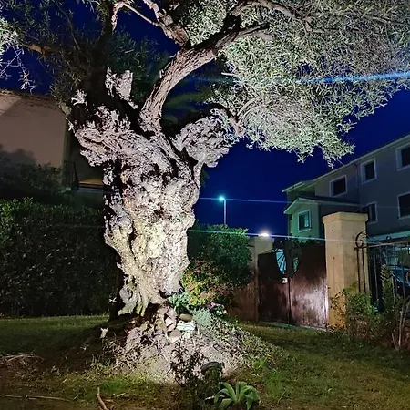 Domu Cannuja Daire *