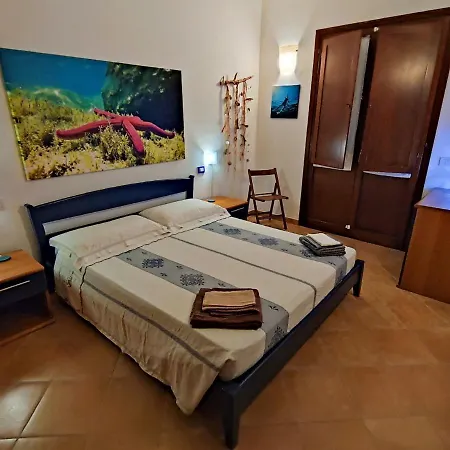 Domu Cannuja
