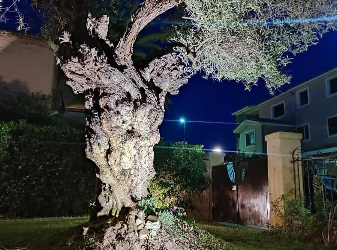 Domu Cannuja Apartamento *