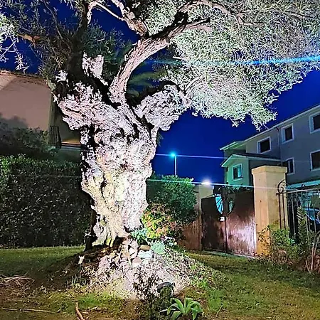 Appartement Domu Cannuja Villasimius